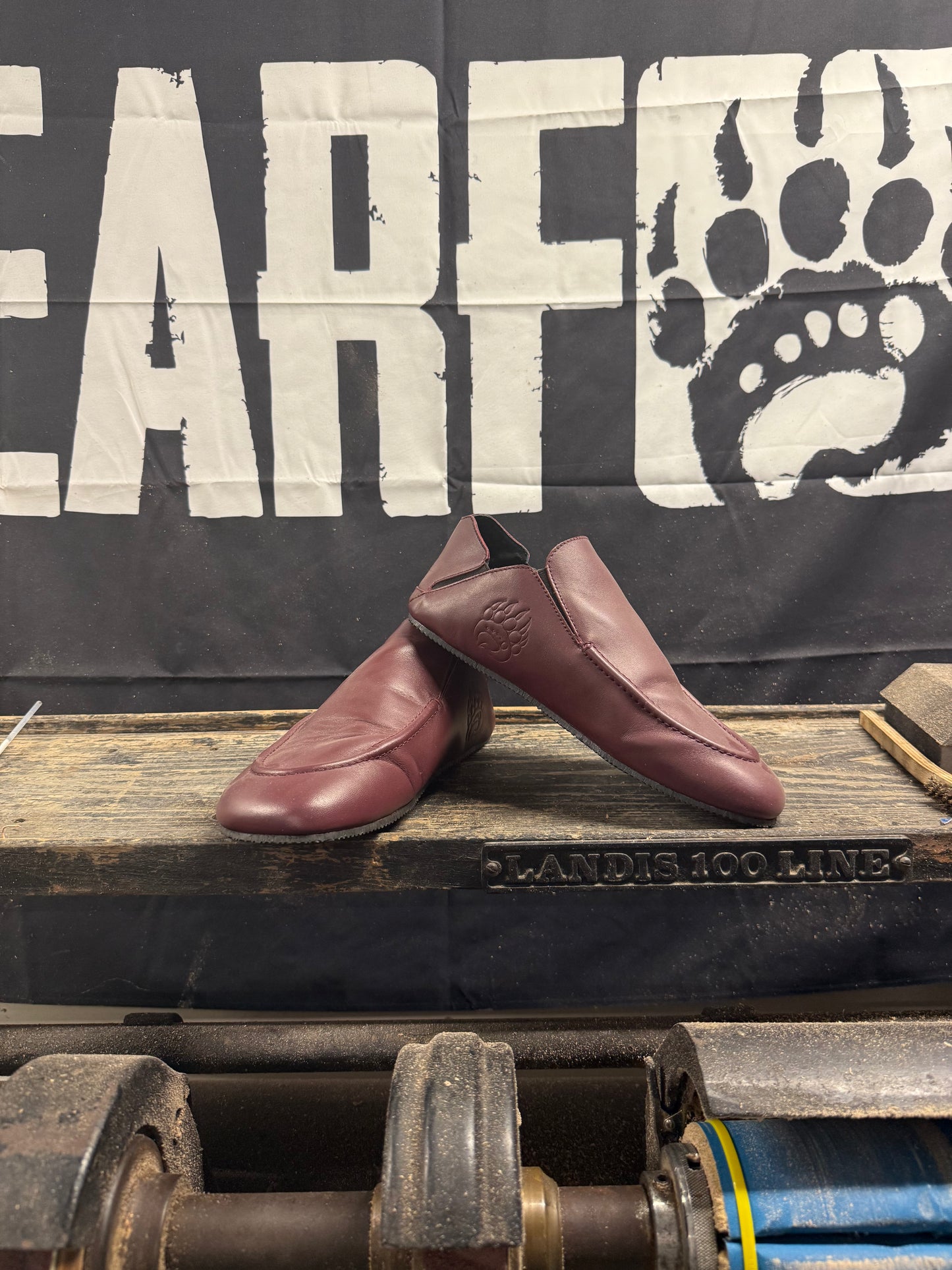 Bearly Used Footwear