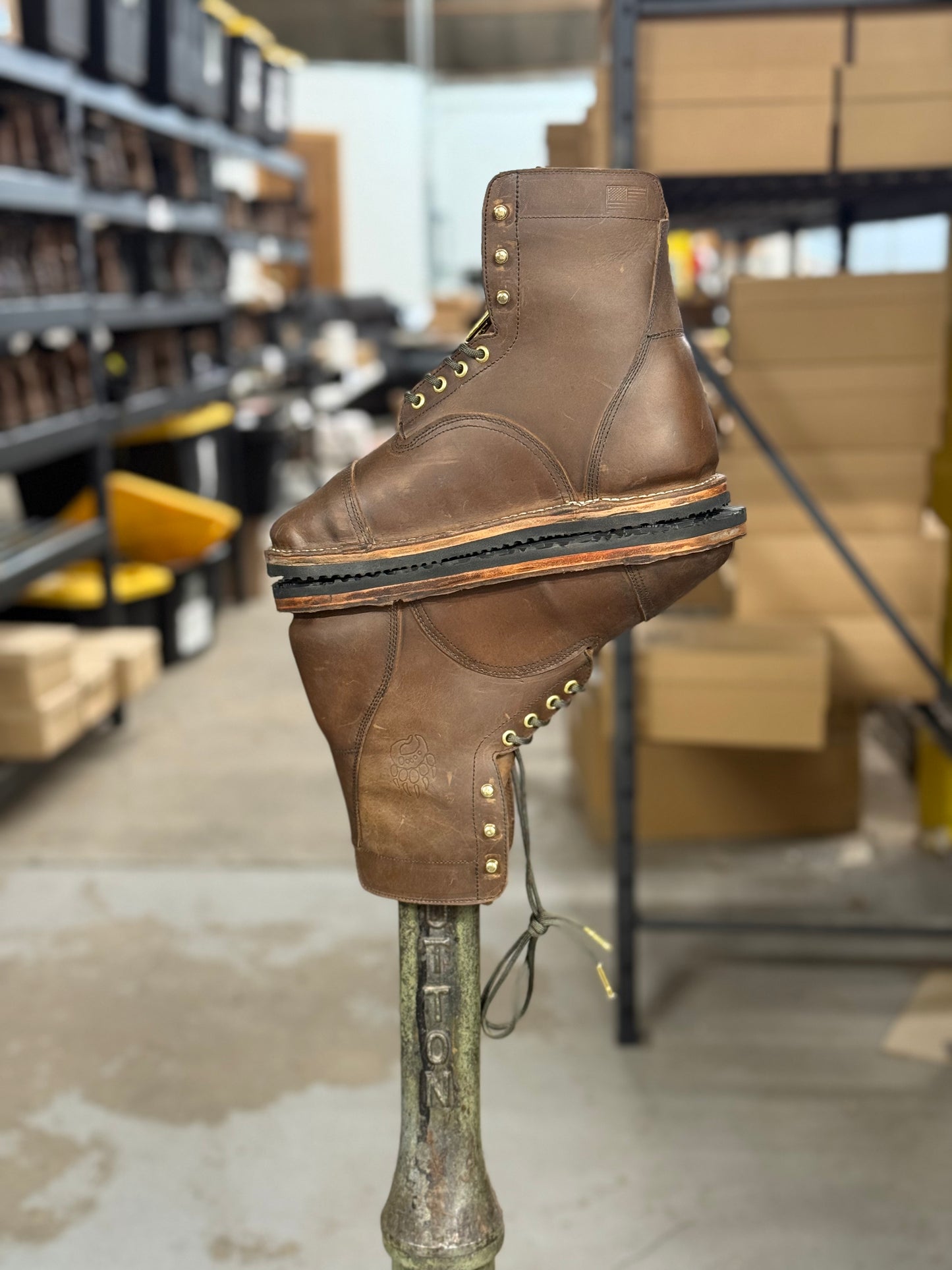 Bearly Used Footwear
