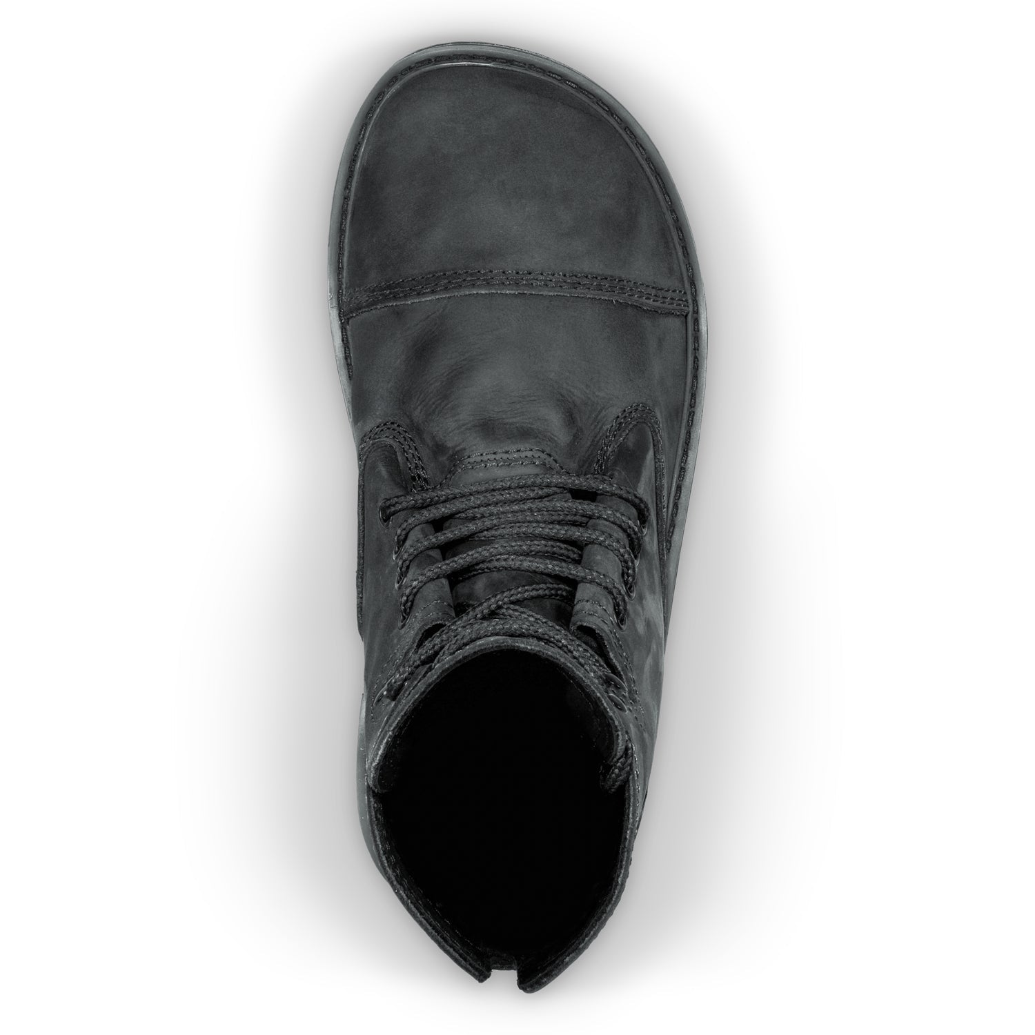 Bruin / Black Bear - Bearfoot